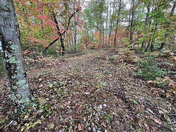 2nd image of 0 Crystal Springs Dr