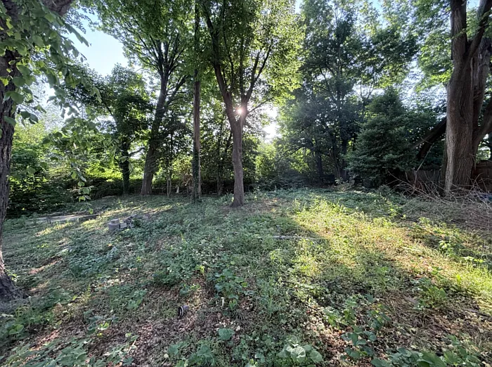 612 Spruce St — Photo 42