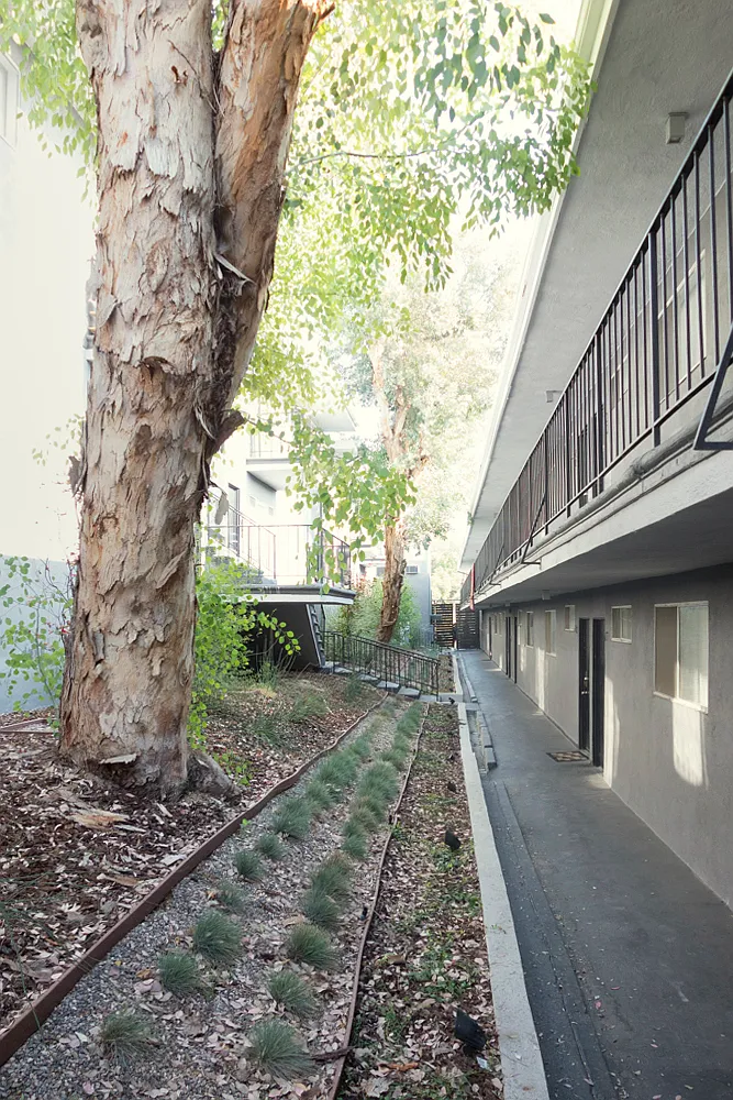 Hollywood Serrano LLC — Photo 1