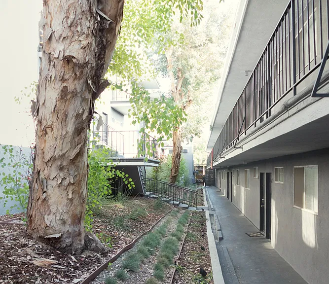 Hollywood Serrano LLC — Photo 1