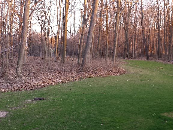 Front Lawn / Woods - Early Spring