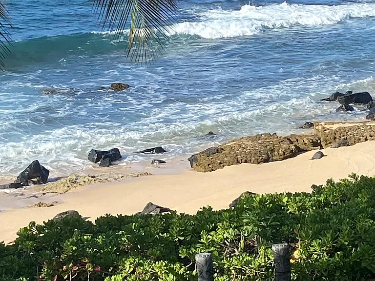 View of ocean from front yard.