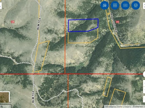 Wilson Lode Survey #10360, Ennis, MT 59729
