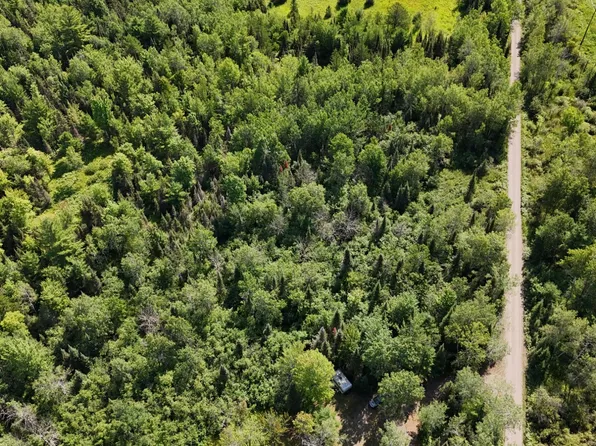 9797 N Agate Rd, Trout Creek, MI 49967