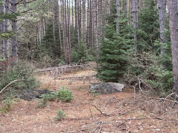 8634 Cth H Sugar, Eagle River, WI 54521