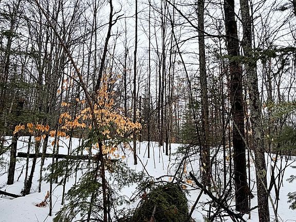 5th image of LOT 67 Birch Ln