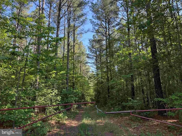 Brandy Creek Rd Tract The, Lawrenceville, VA 23868