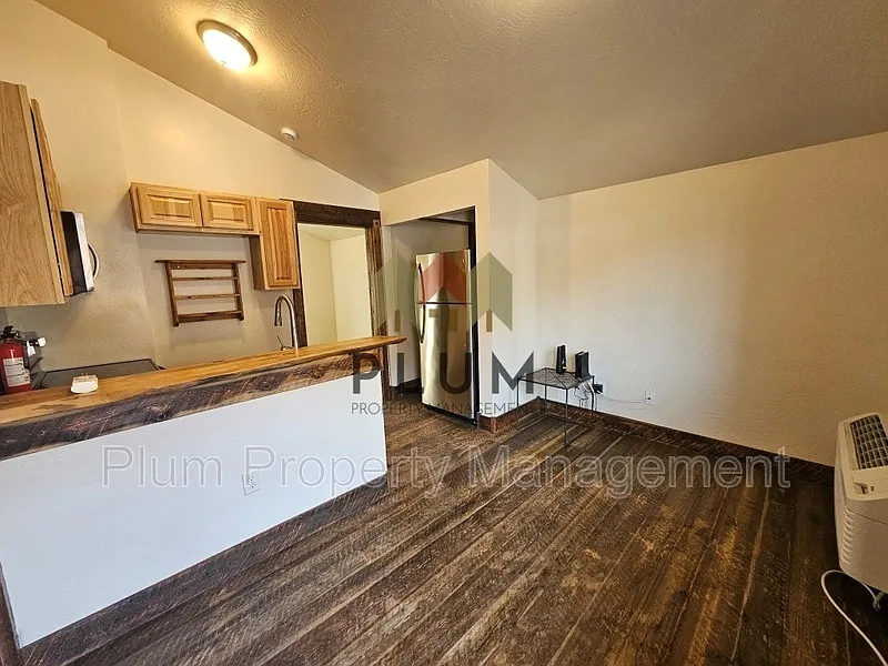 1 bed, 1.0 bath, 300 sqft, $1,225 — Photo 3