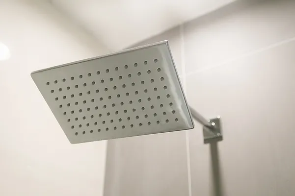 Rented by MNS | media 47