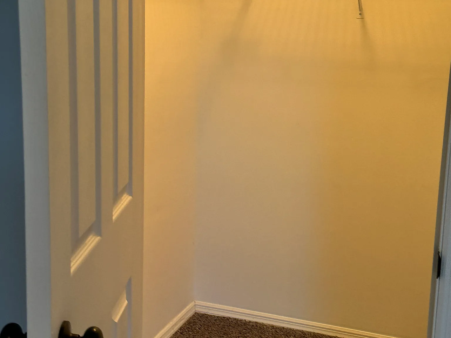 2 bed, 901 sqft, $1,900 — Photo 3