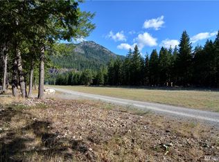 21 Emerson Rd, Mazama, WA 98833