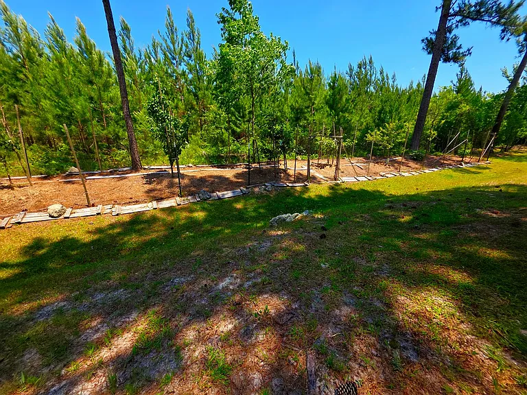 200 Sweet Gum Ln — Photo 9