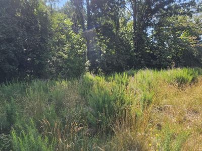 0 Old Hollow Rd #59M, Rural Hall, NC, 27045