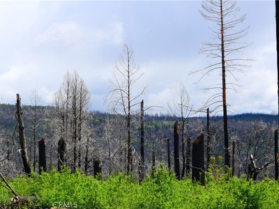 0A Stephens Ridge Rd, Berry Creek, CA, 95916