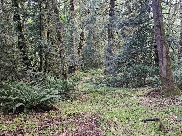 1 20th Street SW, Lakebay, WA 98349