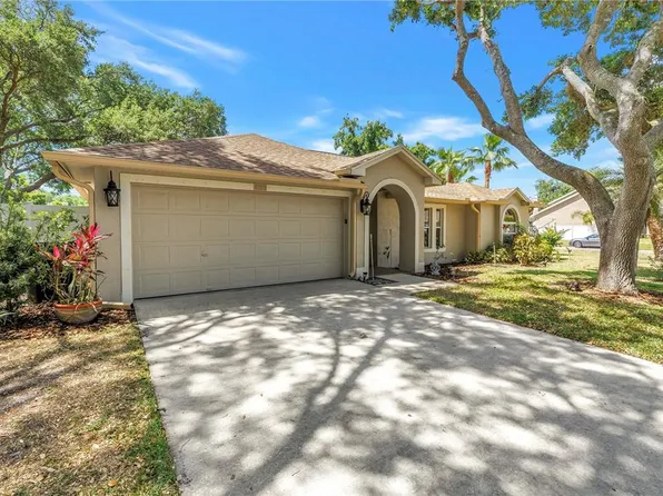 5810 Bitter Orange Ave, Tampa, FL 33625