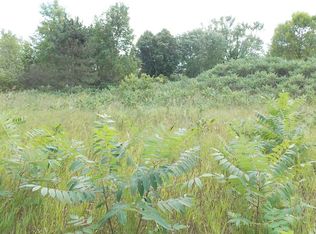 4 Xx St N, Buckley, MI 49620