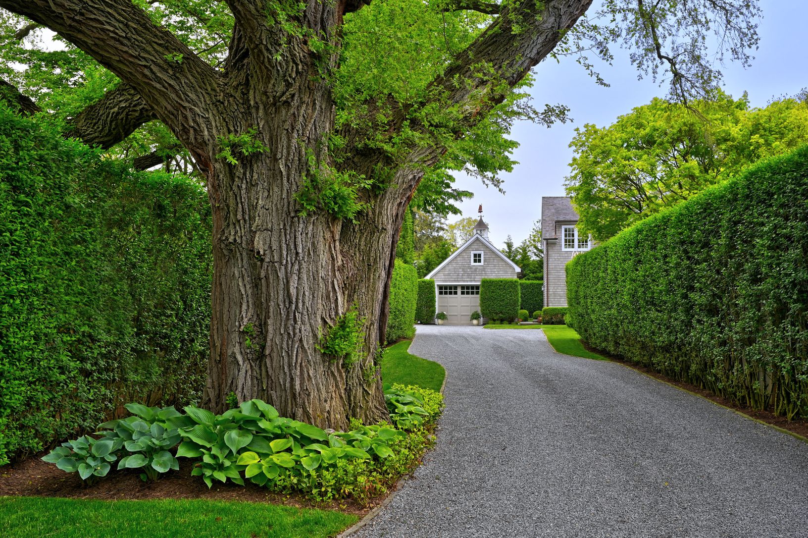  Privet Driveway