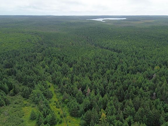 5th image of 2121 Loch Lomond Rd