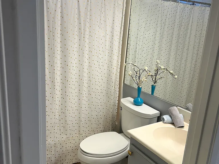 Full bath with lighting on dimmer.