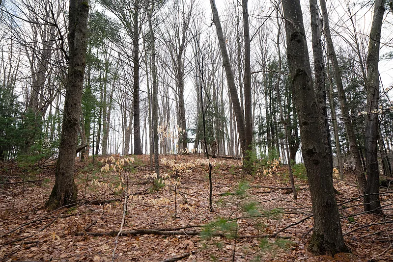 Thumbnail 13