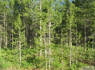 4066 Southgate, Island Park, ID 83429