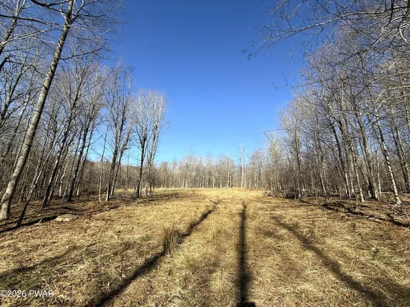 23 Bridle Way, Equinunk, PA 18417