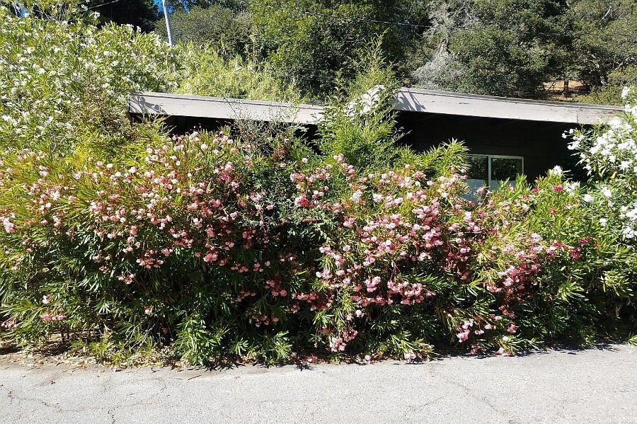 1st image of 548 Montford Ave