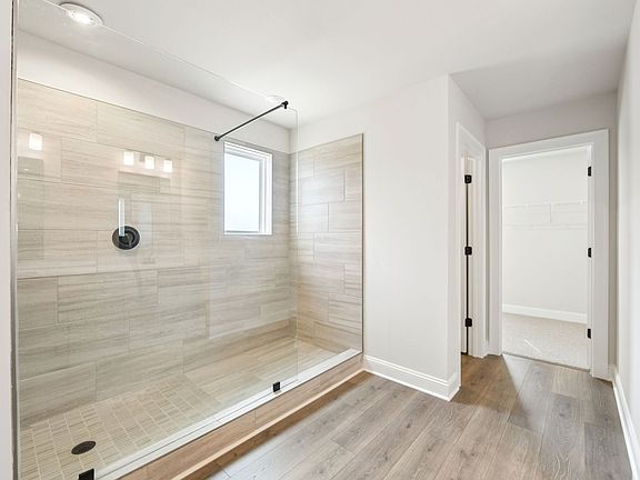 Primary Shower