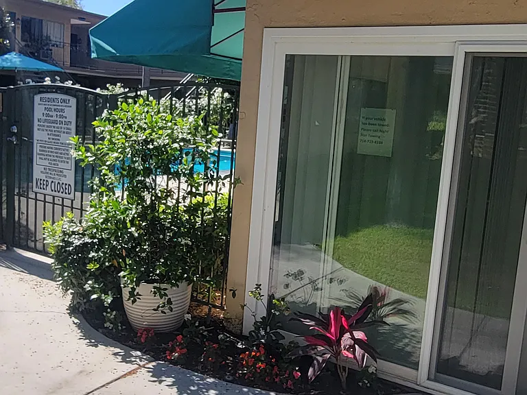Palm Court Apartments — Photo 16