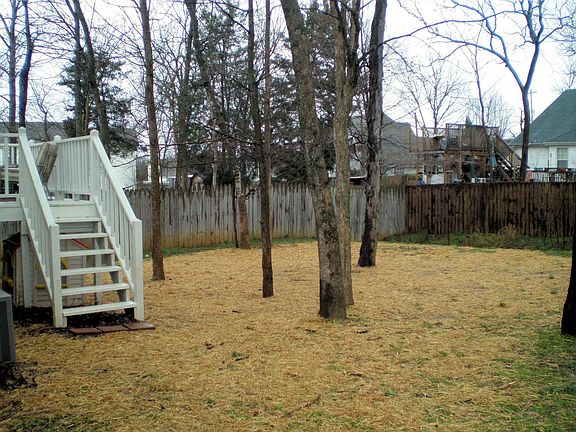 Huge Yard w/ Mature Trees, partial Fence