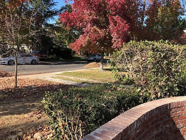 3 bed, 1450 sqft, $4,295 — Photo 2