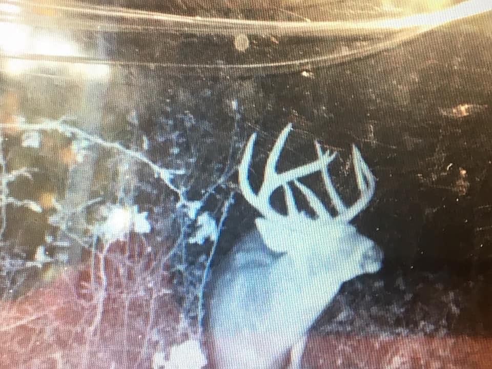 1st image of 0 County Road 118