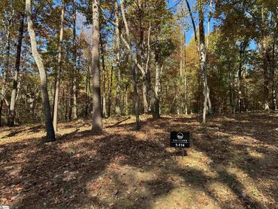 45 Darting Sparrow Way, Marietta, SC, 29661
