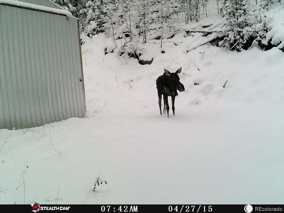 2nd image of 280 Co Road 50