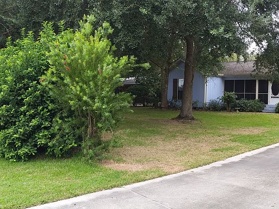 Privacy hedge.