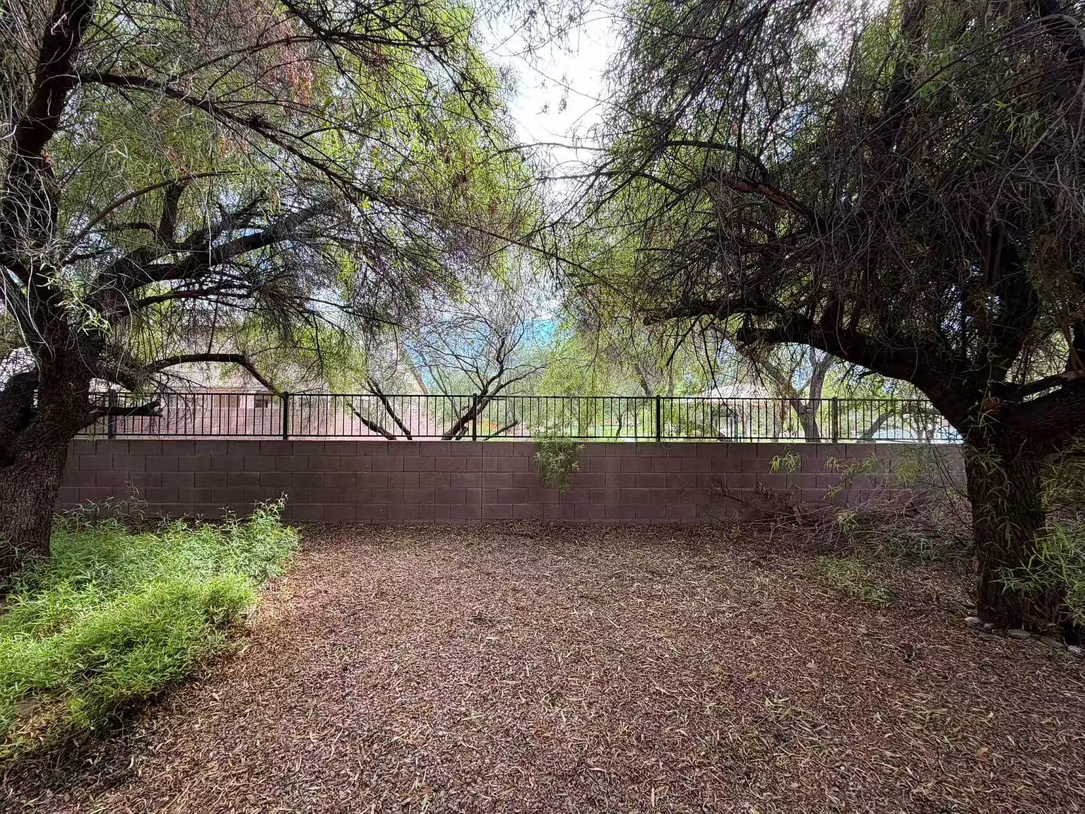 W Blue Sky Dr, Phoenix — Photo 3