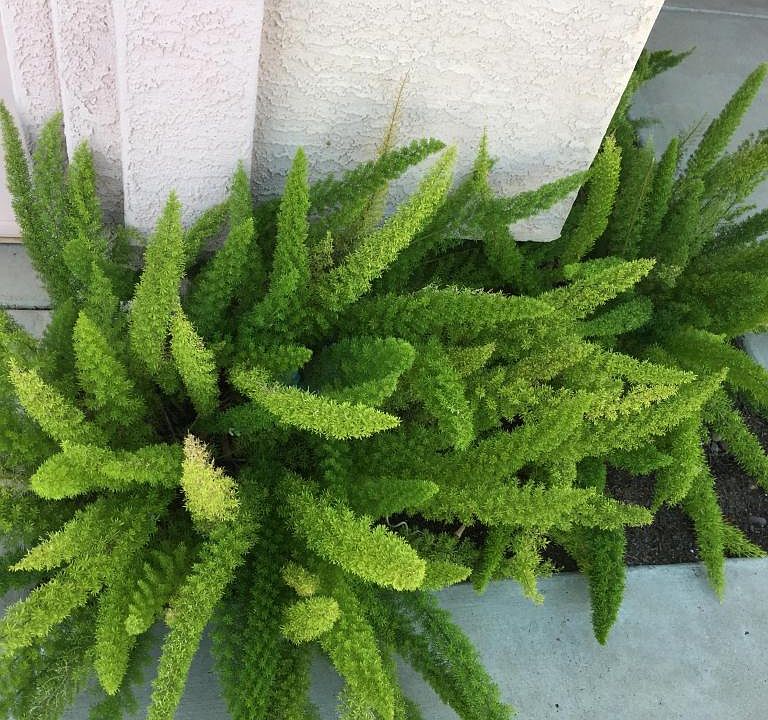 1st image of 2541 E Grovers Ave