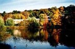 1st image of Scenic Dr