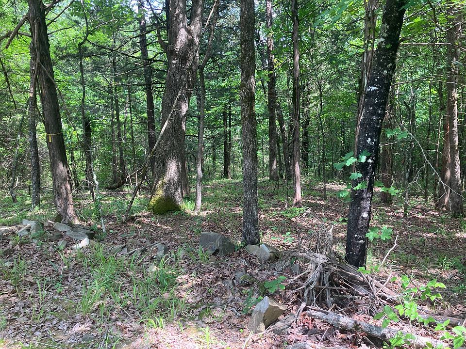 2nd image of 24001 State Highway 144