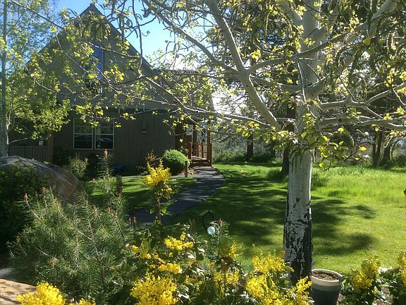 Street view in spring