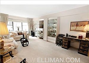4th image of 25 Sutton Pl S APT 15A