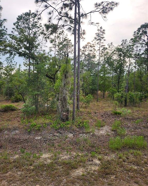 1st image of 00 SE 130TH CT LOT 12