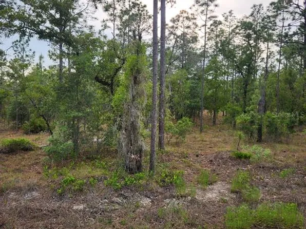 0 SE 130th Ct Lot 12, Dunnellon, FL 34431