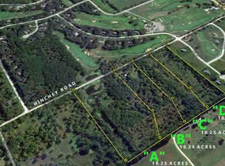 Hinchey D Hinchey Ville Rd #D, Pinckney, MI 48169