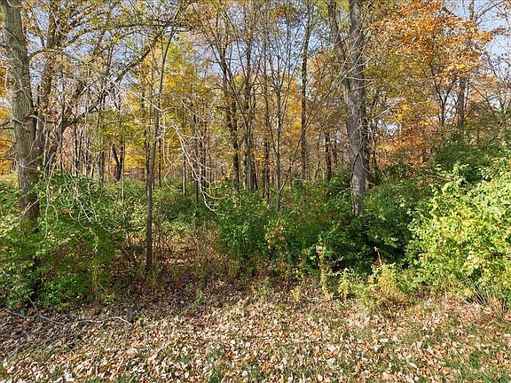 5th image of 0 Liberty Trace Ln