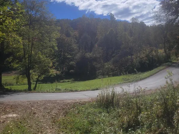 343 Bear Branch Rd, Roan Mountain, TN 37687