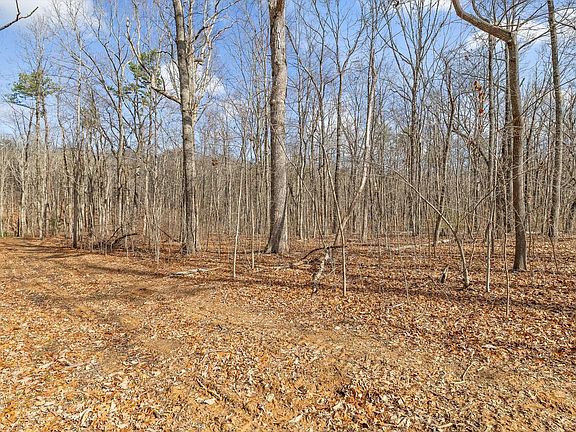 4th image of 8283 Bear Paw Trl #107