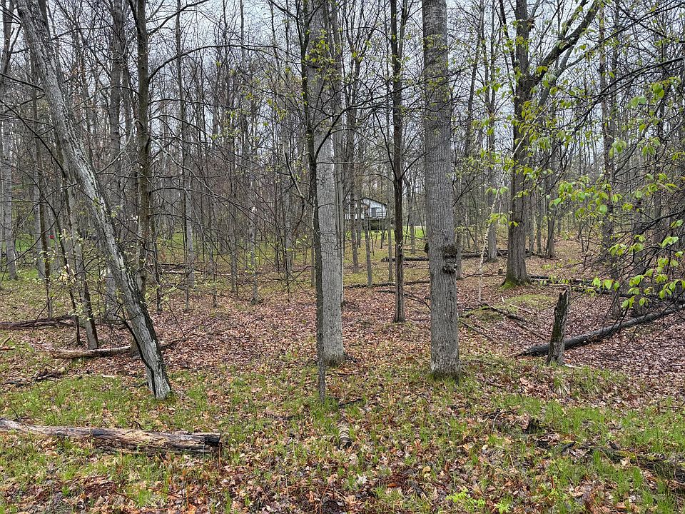 2nd image of 8196 Pine Tree Trl
