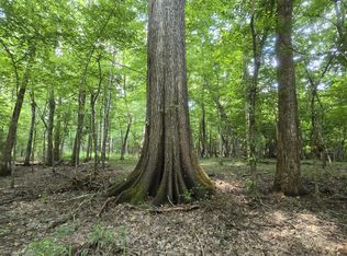 No Ms #407, Kilmichael, MS 39747